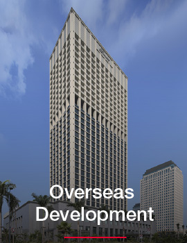 OVERSEAS DEVELOPMENT WORKS