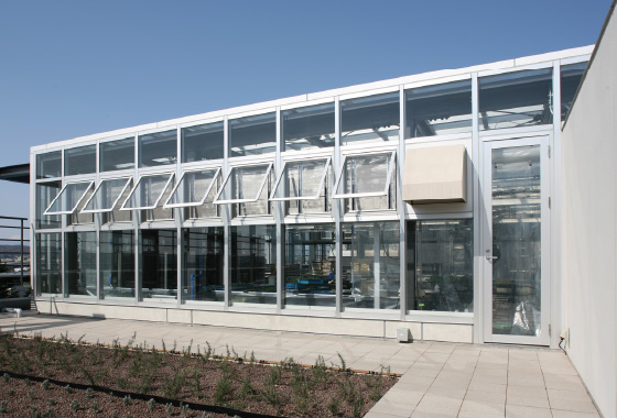 Greenhouse