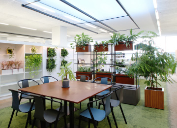 SOTOBEYA (Outdoor Room)