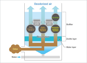 “BADOS®”: Low-running-cost biological deodorizing system