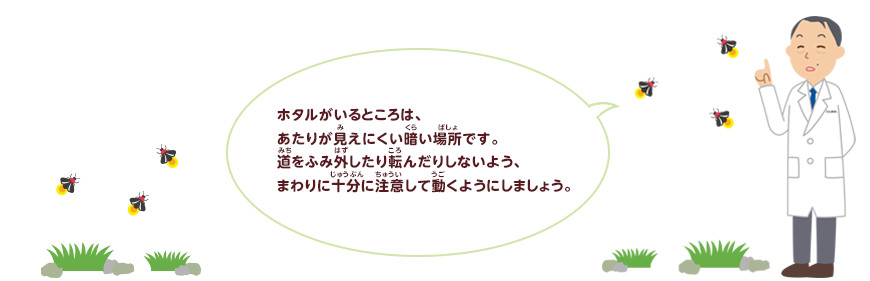 ホタルのことを調べよう