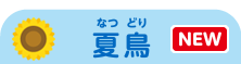 夏鳥