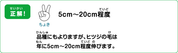 クイズの答え