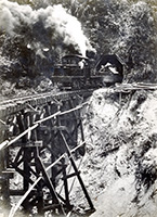 阿里山鉄道―台湾の檜材を日本に