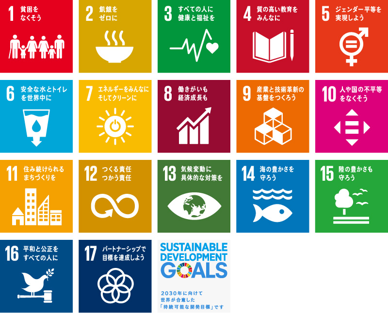 図版:表1 持続可能な開発目標(SDGs)の詳細