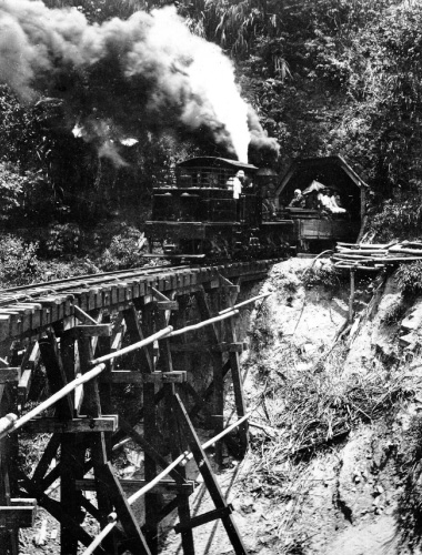図版:台湾・阿里山鉄道