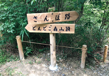 図版
