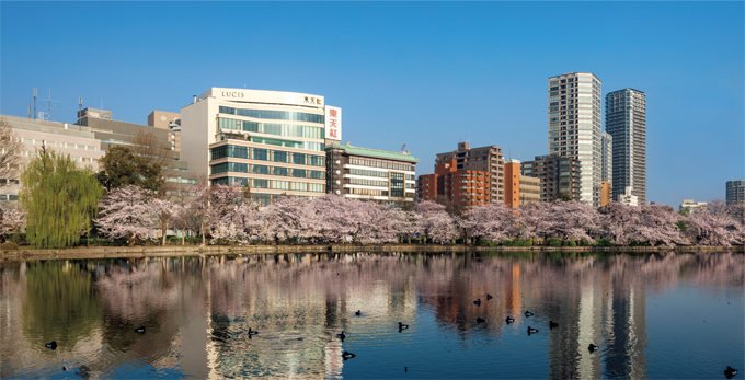写真：池之端の風景に溶け込む上野本店のファサード