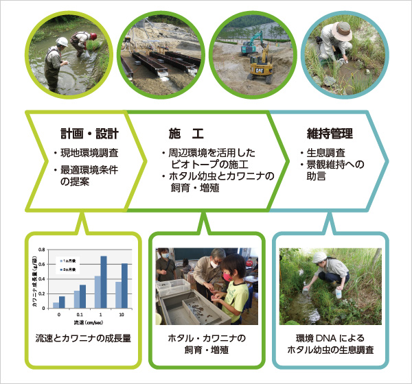 図版:ビオトープ創生の流れ