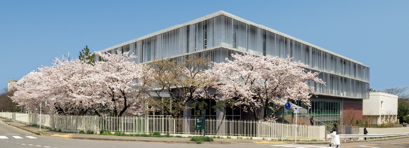 図版:新潟青陵大学・新潟青陵大学短期大学部1号館