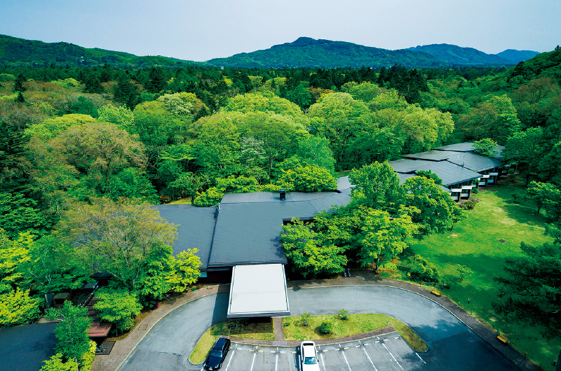 図版:森と調和する建物