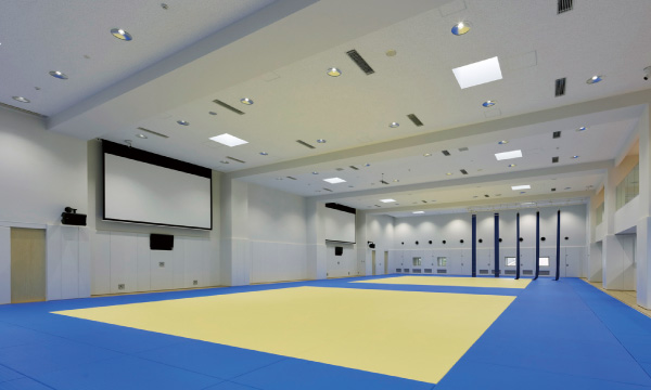 図版:柔道場に2面設置された試合場は,場内は黄色,場外は青色で識別されている