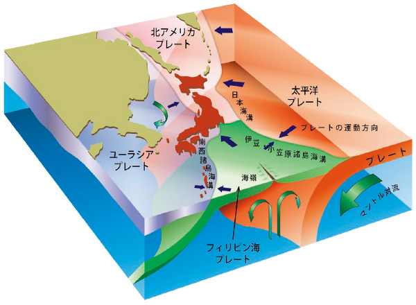 図版