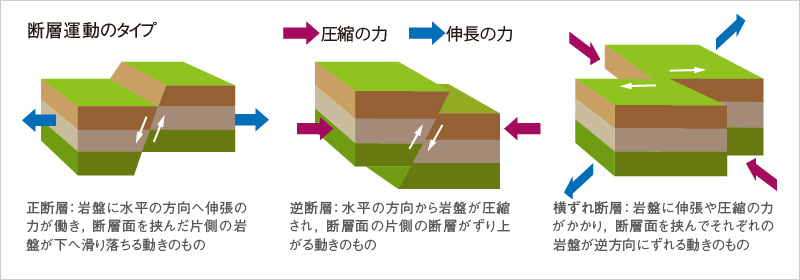 図版