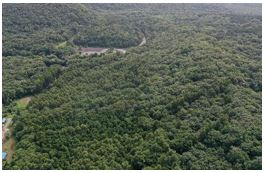 ボナリ山全景"