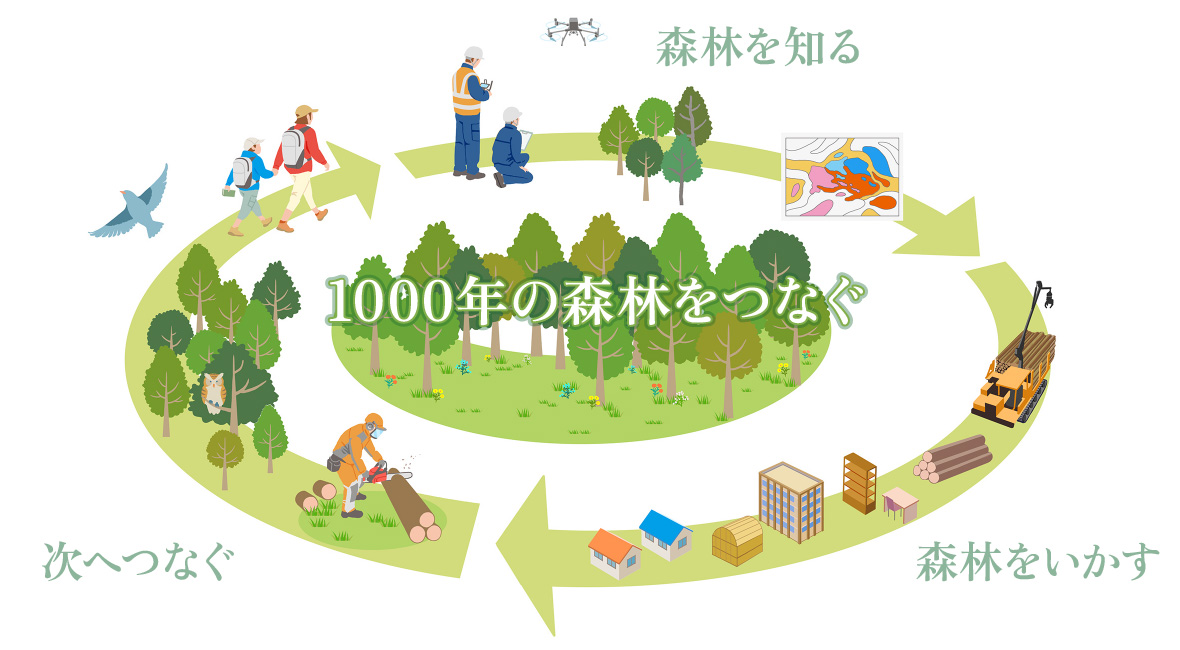 図版：森林のサイクル