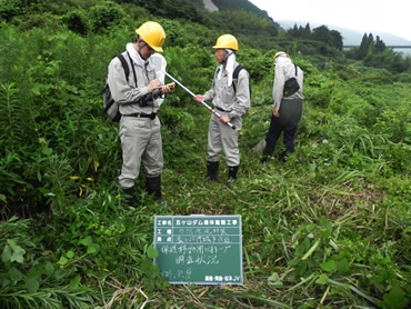 図版：現地調査に基づく保全対策の提案、実施