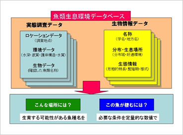 図版：淡水魚データベースの概念図