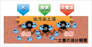 図版：バイオレメディエーションの概念図