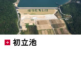 初立池