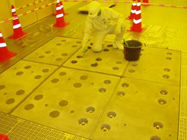 施工状況