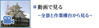 動画で見る