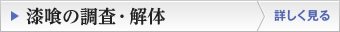 漆喰の調査・解体