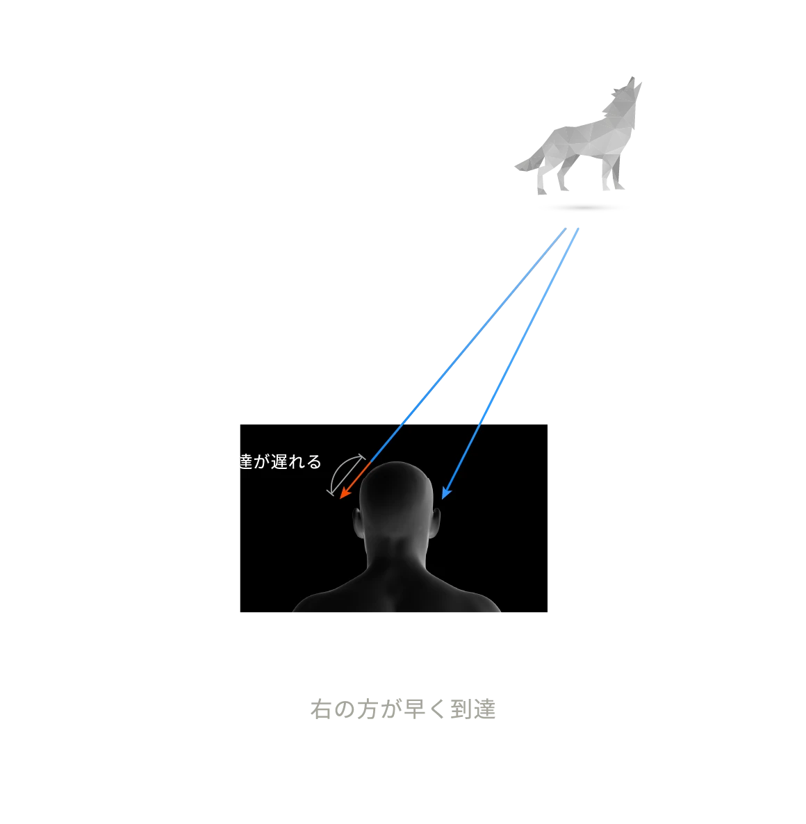 右の方が早く到達　右方向にいると認識