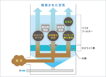 図版:BADOS