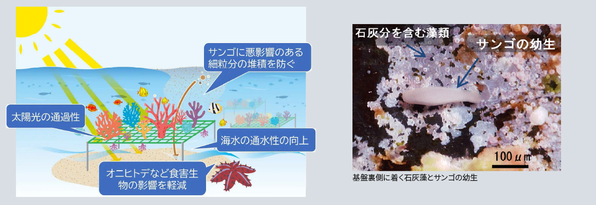 図版: