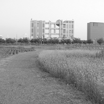 写真:フジテレビ本社遠景