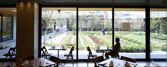 図版：京都八百一本館 のメインイメージ