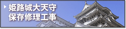 姫路城大天守 保存修理工事