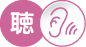 画像　聴覚